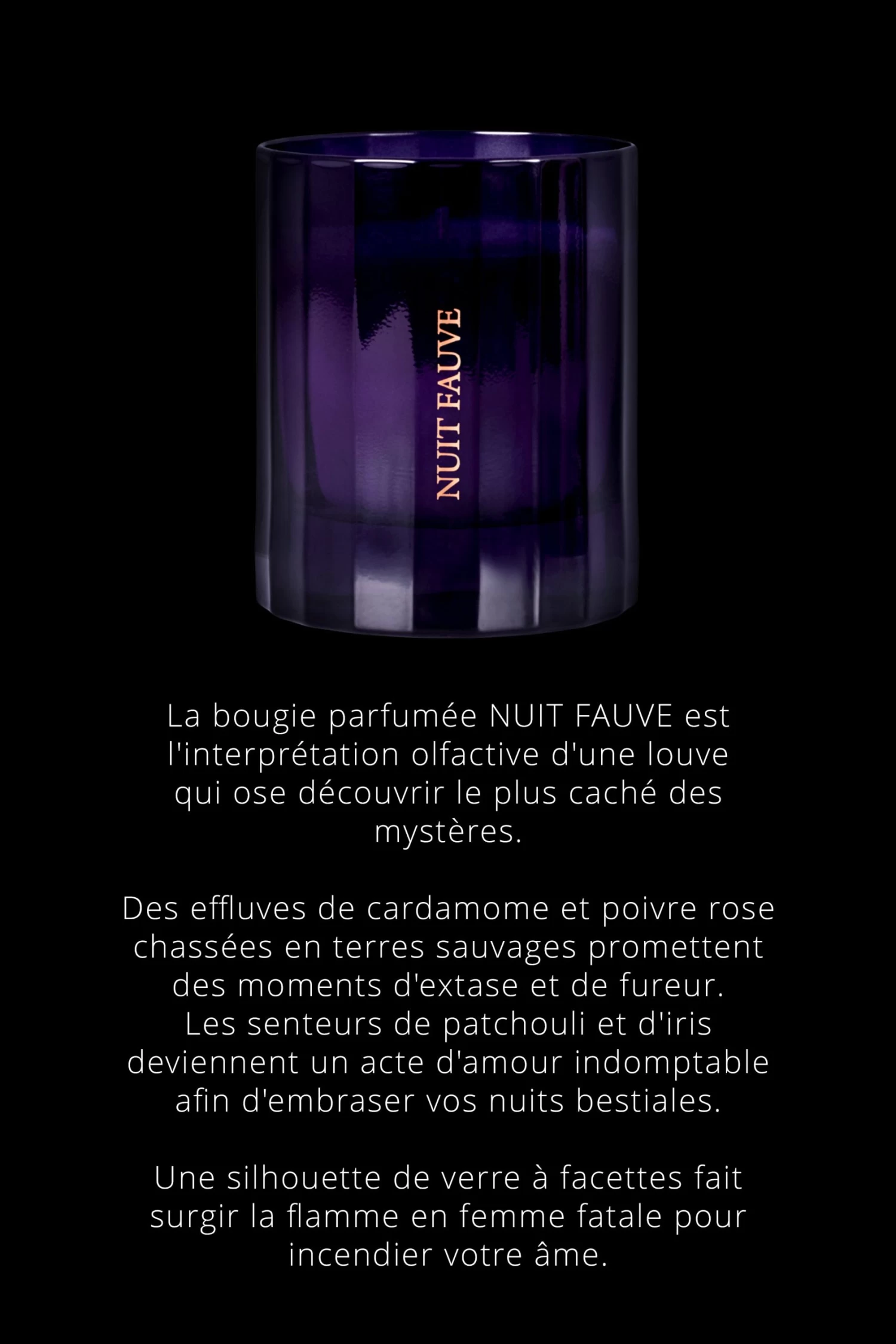 Maison Close Bougie D'ambiance - Nuit Fauve - La Maison 2 Maison Close Bougie D'ambiance - Nuit Fauve - La Maison – Image 2